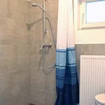 Rent 1 bedroom apartment of 29 m² in Cologne