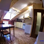 Rent 3 bedroom apartment of 36 m² in Turin