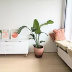 Appartement de 104 m² avec 2 chambre(s) en location à Antwerp