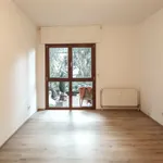 Rent 4 bedroom apartment of 112 m² in Dreieich