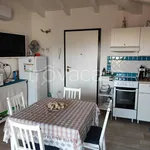 Rent 2 bedroom apartment of 50 m² in Olbia