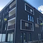 Rent 2 bedroom apartment in AARTSELAAR