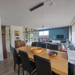 Lindenburg, Roosendaal - Amsterdam Apartments for Rent