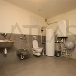 Rent 5 bedroom house in Prague