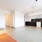  appartement avec 2 chambre(s) en location à Ghent