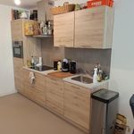 Rent 2 bedroom apartment of 55 m² in Noorderplein