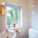 Rent 4 bedroom apartment of 85 m² in dublin