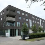 Rent 1 bedroom apartment in Gent Sint-Denijs-Westrem