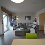 Huur 1 slaapkamer appartement in Zingem