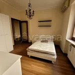 Rent 3 bedroom apartment of 100 m² in Piacenza