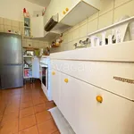 Rent 3 bedroom apartment of 80 m² in Riccione