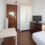 Rent 4 bedroom apartment in Madrid