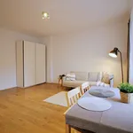 Rent 1 bedroom apartment of 32 m² in Poznan