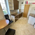 Rent 1 bedroom apartment in Capital City of Prague