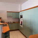 Rent 1 bedroom apartment in Auckland