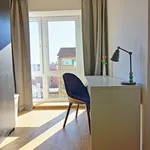 Rent 3 bedroom apartment of 78 m² in Berlin