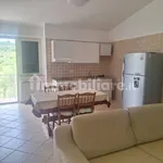 3-room flat good condition, first floor, Centro, Zagarolo