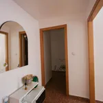 Alquilar 4 dormitorio apartamento en Valencia