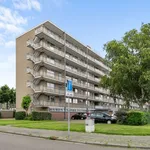 Rent 2 bedroom apartment of 86 m² in Breda