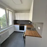 Rent 2 bedroom apartment in Karlovy Vary