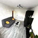 Rent 2 bedroom apartment of 36 m² in Wrocław