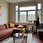 Rent 2 bedroom apartment of 55 m² in Amsterdam