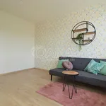 Rent 1 bedroom apartment of 32 m² in Praha