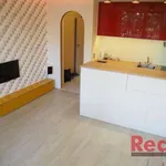 Rent 1 bedroom apartment of 28 m² in Brno