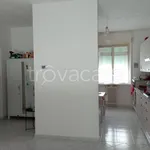 Rent 3 bedroom apartment of 110 m² in Livorno