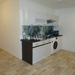 Rent 1 bedroom apartment of 25 m² in Capital City of Prague