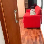 Estudio de 50 m² en granada