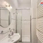 Rent 2 bedroom apartment of 53 m² in Praha