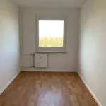 Rent 3 bedroom apartment of 69 m² in Leipzig