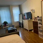 Rent 3 bedroom apartment in Midwood