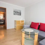 Rent 1 bedroom apartment of 242 m² in Zielona Góra