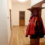 Rent 1 bedroom apartment of 10 m² in Prague