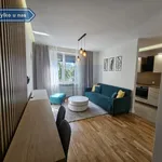 Rent 1 bedroom apartment of 34 m² in Częstochowa