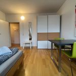 Rent 2 bedroom apartment of 50 m² in Karlsruhe