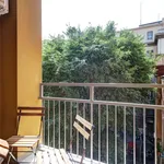 Rent 1 bedroom apartment of 40 m² in Bologna