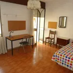 Rent a room in cordoba