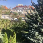 Rent 1 bedroom apartment in Capital City of Prague