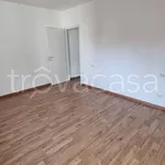 Rent 2 bedroom apartment of 50 m² in Milano