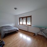 Maison de 156 m² avec 6 chambre(s) en location à STRASBOURG