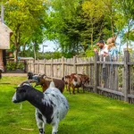 Huur 2 slaapkamer huis in Otterlo