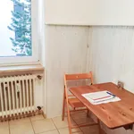 Rent 1 bedroom apartment of 20 m² in Munich