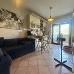 Rent 2 bedroom apartment of 50 m² in Roma