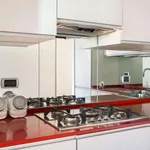 Rent 1 bedroom apartment in rome