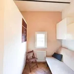 Rent 1 bedroom apartment in rome