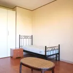 Rent a room of 50 m² in rome