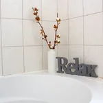 Rent 1 bedroom apartment in Blansko